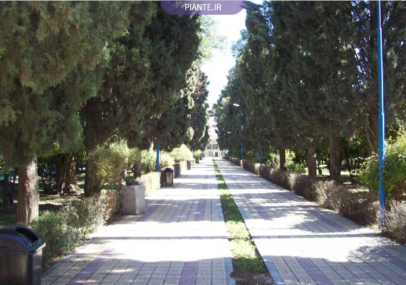 باغ های تاریخی و معروف شیراز