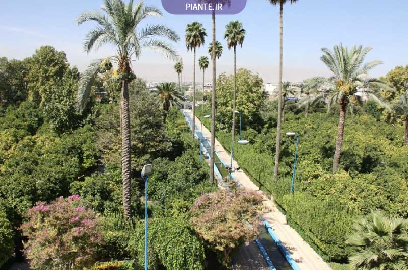 باغ های تاریخی و معروف شیراز